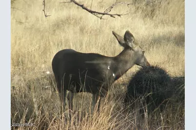 5782 E De Vaca Circle #18, Saint David, AZ 85630 - Photo 15