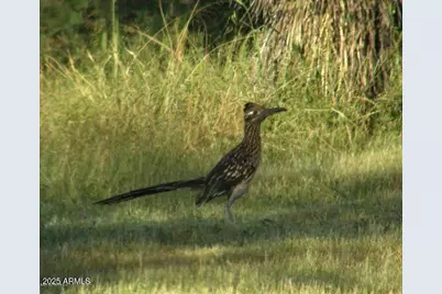 5782 E De Vaca Circle #18, Saint David, AZ 85630 - Photo 17