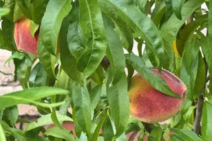 41 Country Ln, Sedona, AZ 86336 - Photo 53