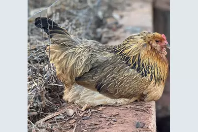 41 Country Lane, Sedona, AZ 86336 - Photo 57