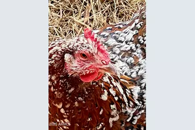 41 Country Lane, Sedona, AZ 86336 - Photo 63