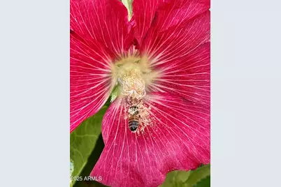 41 Country Lane, Sedona, AZ 86336 - Photo 47