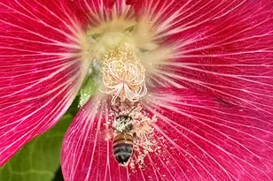 41 Country Ln, Sedona, AZ 86336 - Photo 47