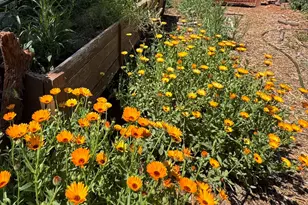 41 Country Ln, Sedona, AZ 86336 - Photo 49