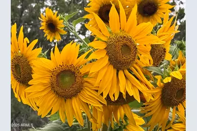 41 Country Lane, Sedona, AZ 86336 - Photo 25