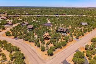 2796 Chandelle Ln, Overgaard, AZ 85933 - Photo 33