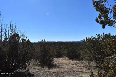 0 Stanford Road #-, Concho, AZ 85924 - Photo 5