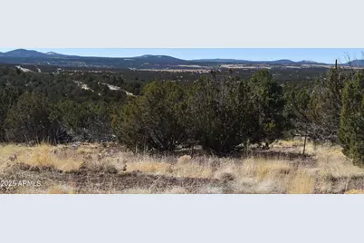 0 Stanford Road #-, Concho, AZ 85924 - Photo 1
