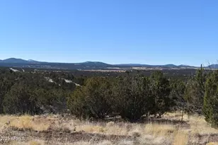 0 Stanford Rd, Concho, AZ 85924 - Photo 1