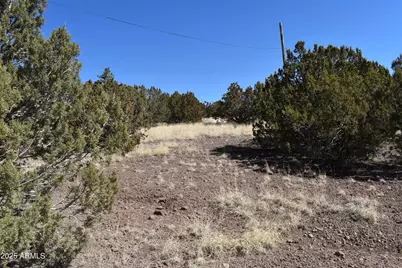 0 Stanford Road #-, Concho, AZ 85924 - Photo 3