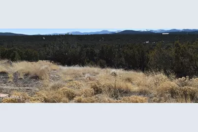 0 Stanford Road #-, Concho, AZ 85924 - Photo 7