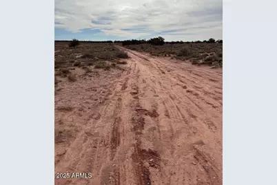 9049 Old School Bus Trail #-, Snowflake, AZ 85937 - Photo 7
