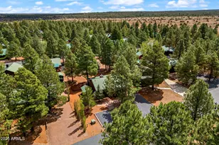 2692 Palomino Trail, Overgaard, AZ 85933 - Photo 27