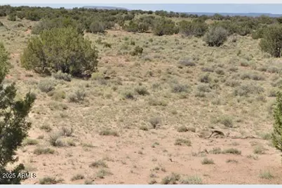 38 County Rd N5576 -- #-, Concho, AZ 85924 - Photo 7