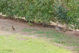 10931 W Peoria Ave, Sun City, AZ 85351 - Photo 45