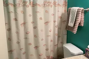 455 S Delaware Dr, Apache Junction, AZ 85120 - Photo 17