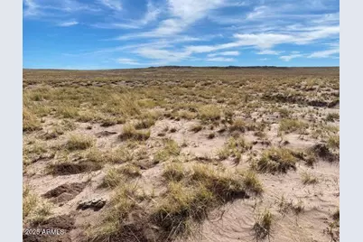 10313 Porter Avenue #-, Joseph City, AZ 86032 - Photo 5