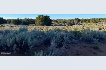 1741 County Rd 7230 -- #-, Saint Johns, AZ 85936 - Photo 9