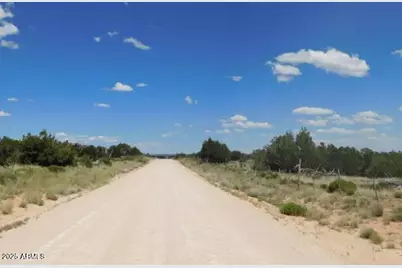 1741 County Rd 7230 -- #-, Saint Johns, AZ 85936 - Photo 5