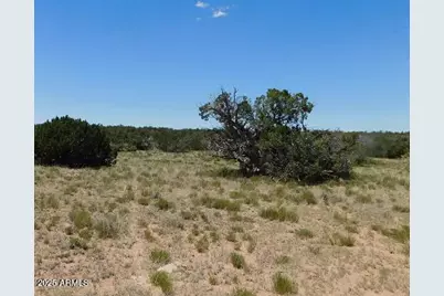 1741 County Rd 7230 -- #-, Saint Johns, AZ 85936 - Photo 7