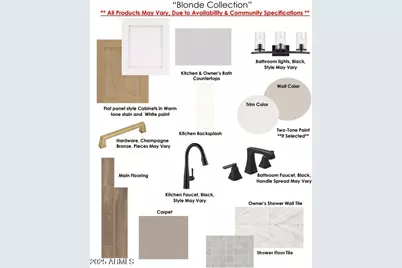 9809 S Gold Stone Trail, Apache Junction, AZ 85120 - Photo 3