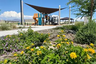 6036 S Chatham, Mesa, AZ 85212 - Photo 21