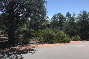 106 N Feather Plume Cir, Payson, AZ 85541 - Photo 1