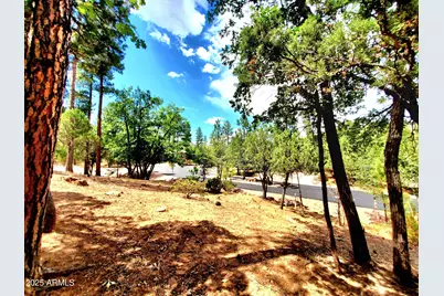 Lot 19 Strawberry Hollow -- #19, Pine, AZ 85544 - Photo 1