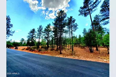 Lot 19 Strawberry Hollow -- #19, Pine, AZ 85544 - Photo 5