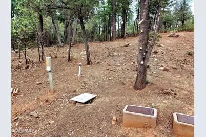 Lot 19 Strawberry Hollow -- #19, Pine, AZ 85544 - Photo 3