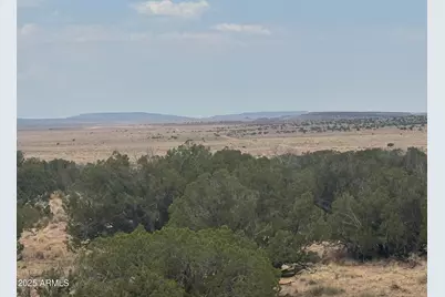 Lot 99 Carrizo Ranch -- #99, Saint Johns, AZ 85936 - Photo 11