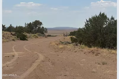 Lot 99 Carrizo Ranch -- #99, Saint Johns, AZ 85936 - Photo 1