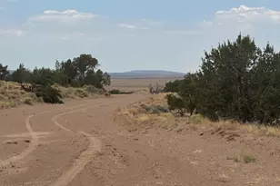 Lot 99 Carrizo Ranch --, Saint Johns, AZ 85936 - Photo 1