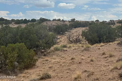 Lot 99 Carrizo Ranch -- #99, Saint Johns, AZ 85936 - Photo 5