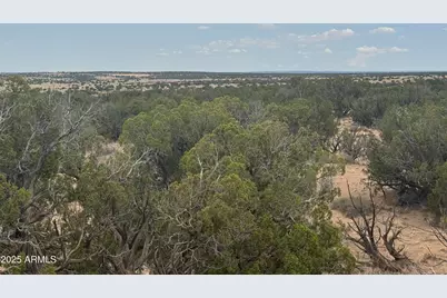 Lot 99 Carrizo Ranch -- #99, Saint Johns, AZ 85936 - Photo 3