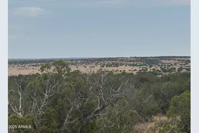Lot 99 Carrizo Ranch -- #99, Saint Johns, AZ 85936 - Photo 9