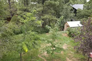 2051 Stradling Ln, Lakeside, AZ 85929 - Photo 23