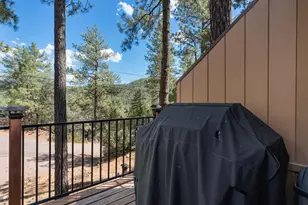 9400 W Wild Turkey Ln, Pine, AZ 85544 - Photo 27