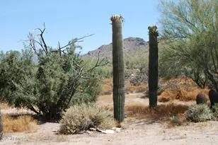 35407 N 54th St, Cave Creek, AZ 85331 - Photo 15