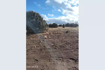 00000 N Deliverace -- #453, Seligman, AZ 86337 - Photo 1