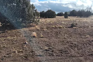 00000 N Deliverace --, Seligman, AZ 86337 - Photo 1