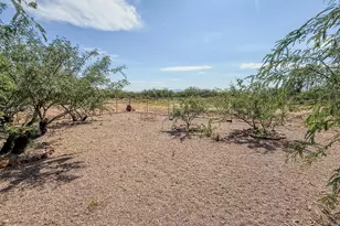 6906 E Alhambra Dr, Sierra Vista, AZ 85650 - Photo 47