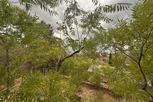 645 Holly Ave, Jerome, AZ 86331 - Photo 27