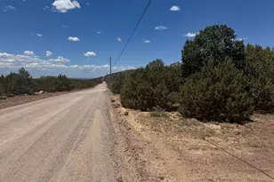 171 Acr 8088 --, Concho, AZ 85924 - Photo 1