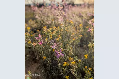 000 E Red Baron Drive #405-25-757C, Rimrock, AZ 86335 - Photo 13