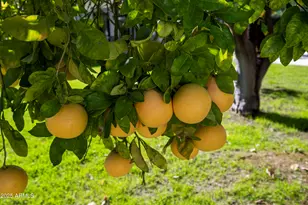 6500 E Fanfol Dr, Paradise Valley, AZ 85253 - Photo 51