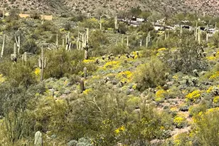 14850 E Grandview Dr, Fountain Hills, AZ 85268 - Photo 11