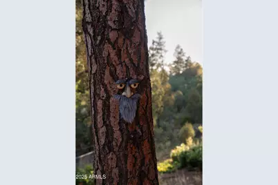 9651 W Wild Turkey Lane, Strawberry, AZ 85544 - Photo 41