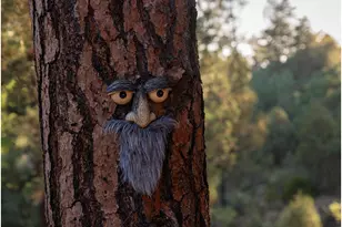 9651 W Wild Turkey Ln, Strawberry, AZ 85544 - Photo 41