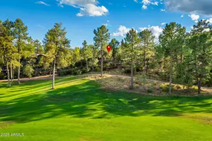 2202 E Feather Plume Ln, Payson, AZ 85541 - Photo 63